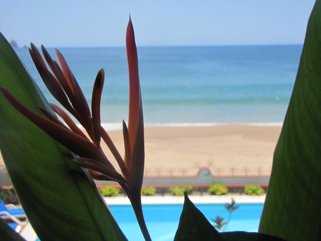 La Paloma Oceanfront Retreat Hotel ซาน พาทริชิโอ เมลาเก ห้อง รูปภาพ